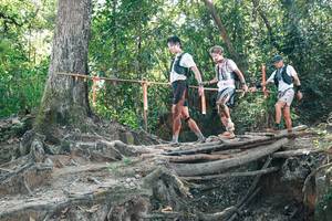 BIB: 
                            <button type="button" onclick="openModal(27743780)" class="btn btn-primary btn-sm float-right btn-popup" data-toggle="modal" data-target=".modal-high-quality">
                        <i class="fas fa-shopping-cart"></i> Add to Cart
                    </button>
                                            <button type="button" onclick="isThisMe(27743780, true)" class="btn btn-success btn-sm float-right btn-popup btn-isme hidden" data-toggle="tooltip" data-placement="bottom" title="นี่คือรูปของคุณใช่ไหม คลิกที่นี่เพื่อเอาเข้าอัลบั้ม">
                        <i class="fas fa-plus"></i> Add to album
                    </button>
                    <button type="button" onclick="isThisMe(27743780, false)" class="btn btn-warning btn-sm float-right btn-popup btn-isnotme hidden">
                        <i class="fas fa-ban"></i> Remove from album
                    </button>